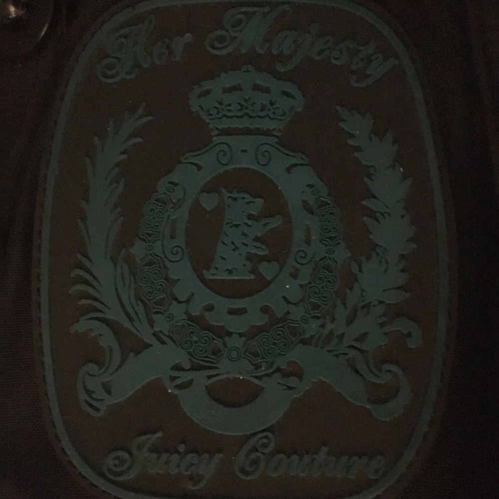 Ethnic Limited Edition Juicy Couture Hand Bag